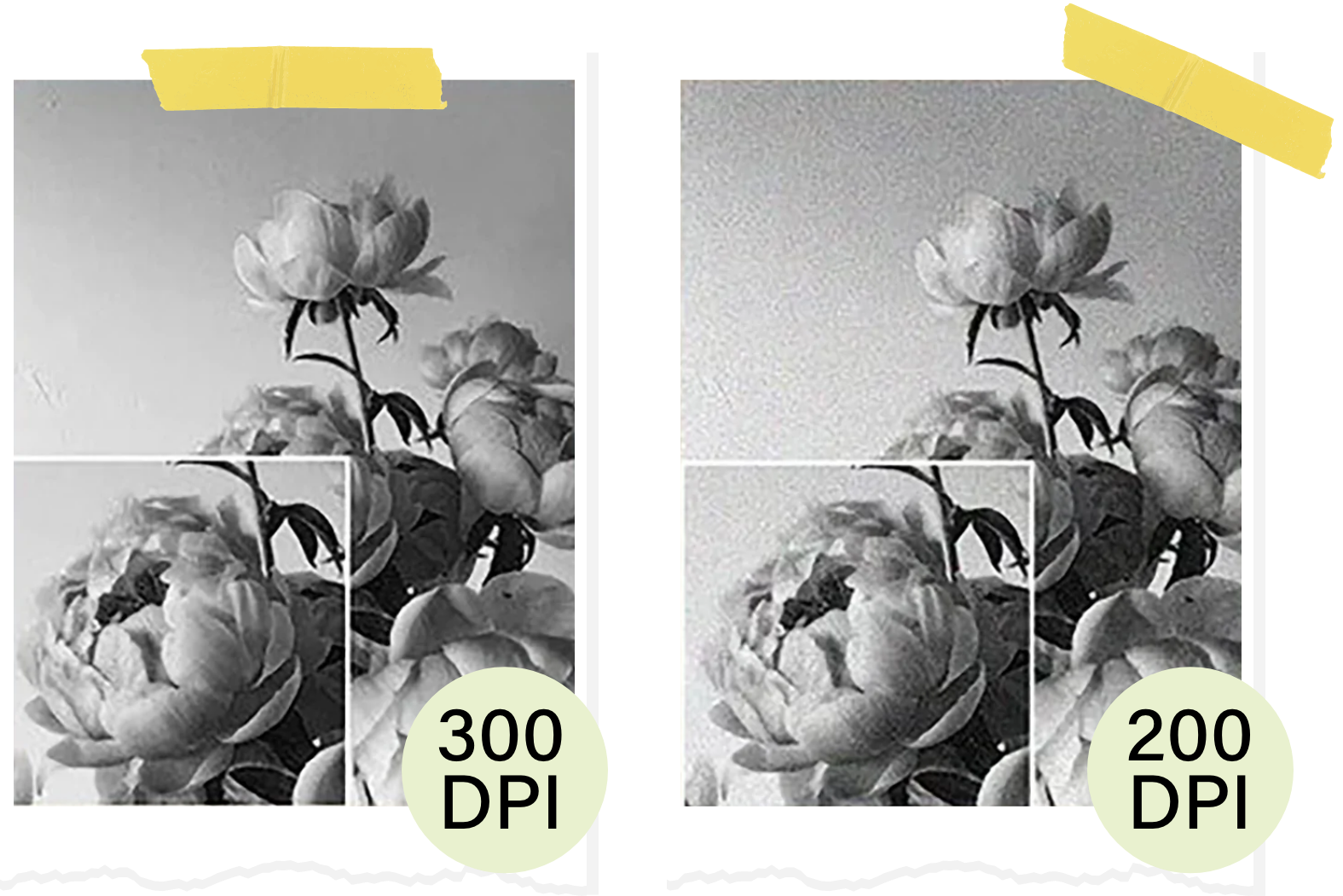 meet-the-worlds-smallest-printer-poooliprint